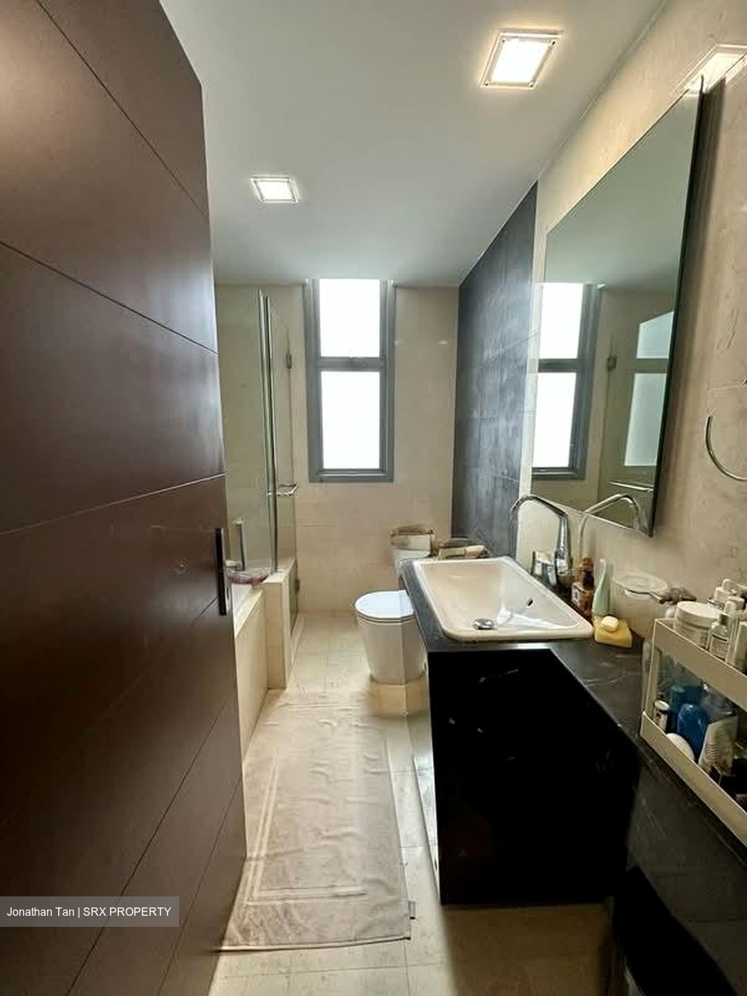 Residences @ Evelyn (D11), Condominium #567753601